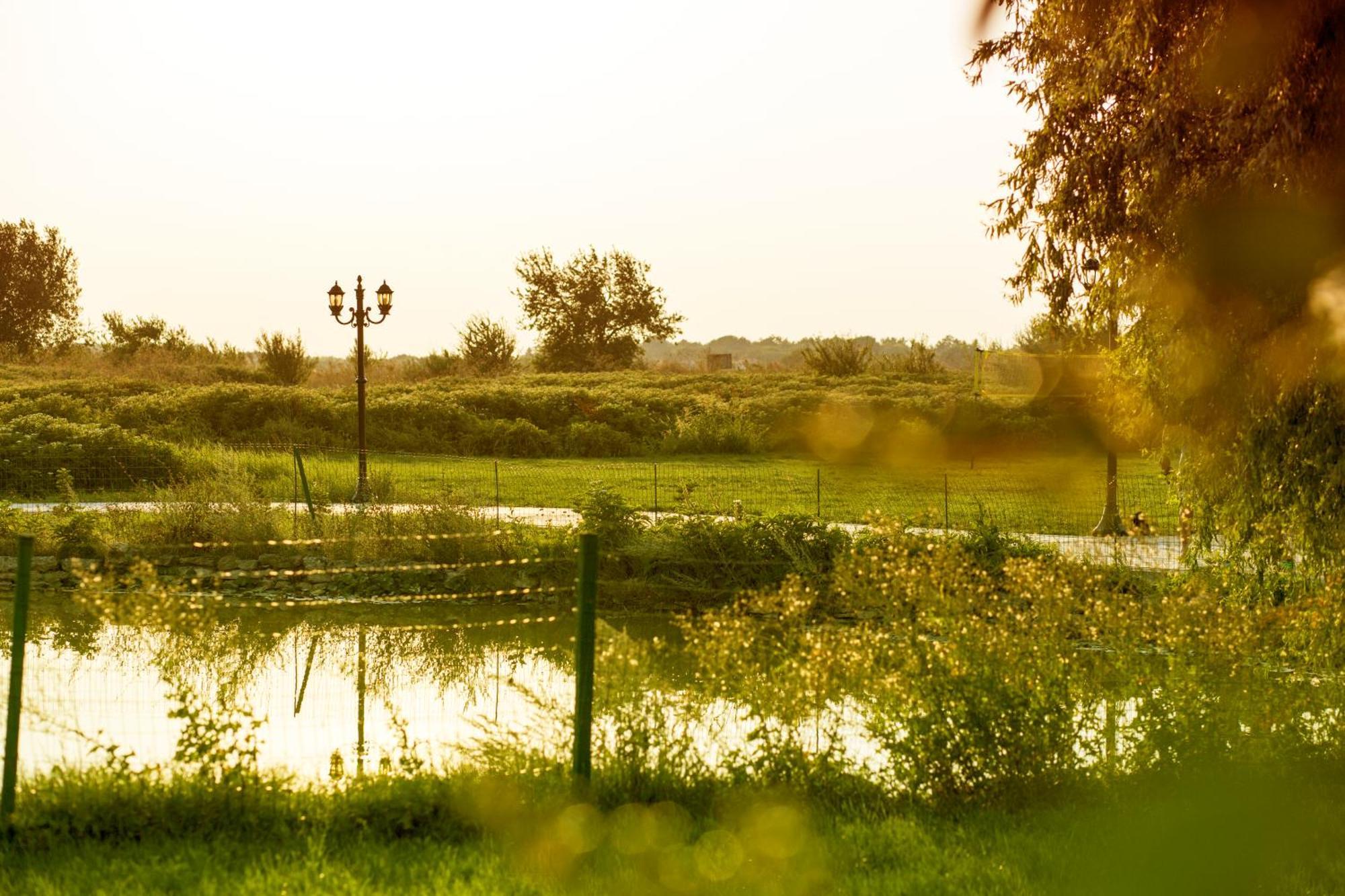 Kaliakria Resort Topola Eksteriør bilde
